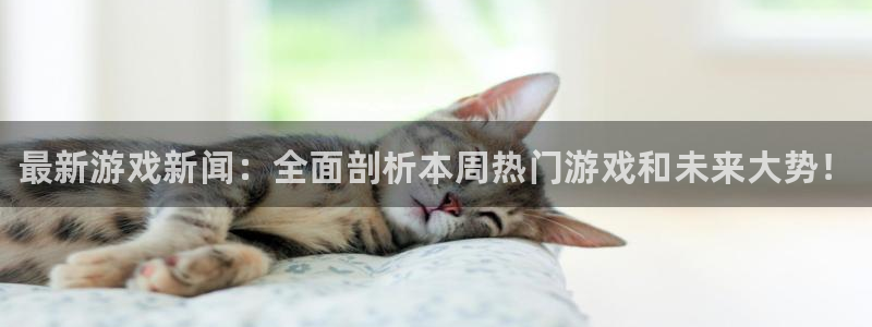 高德娱乐的意思：最新游戏新闻：全面剖析本周热门游戏和未来大势
