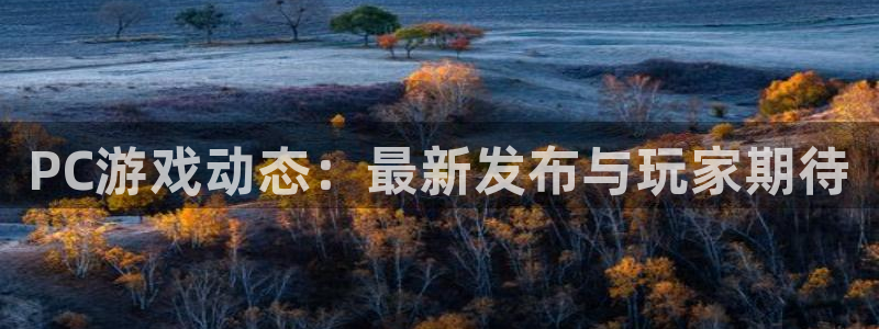 高德娱乐平台登录线路：PC游戏动态：最新发布与玩家期待