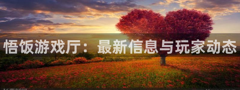高德娱乐注册网站:悟饭游戏厅:最新信息与玩家动态