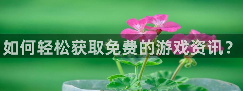 手机高德娱乐下载安装：如何轻松获取免费的游戏资讯？