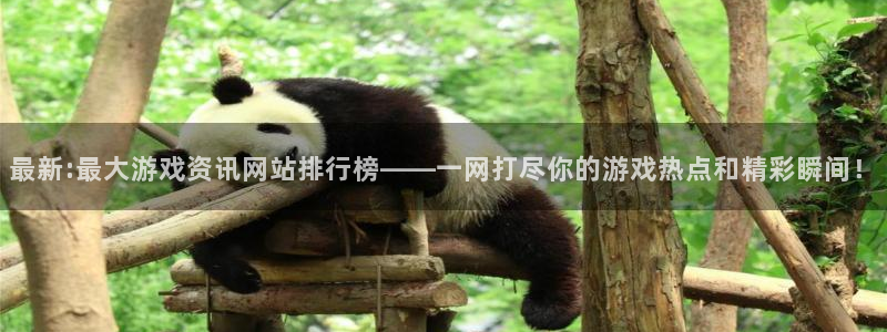 高德娱乐什么意思：最新:最大游戏资讯网站排行榜——一网打尽你